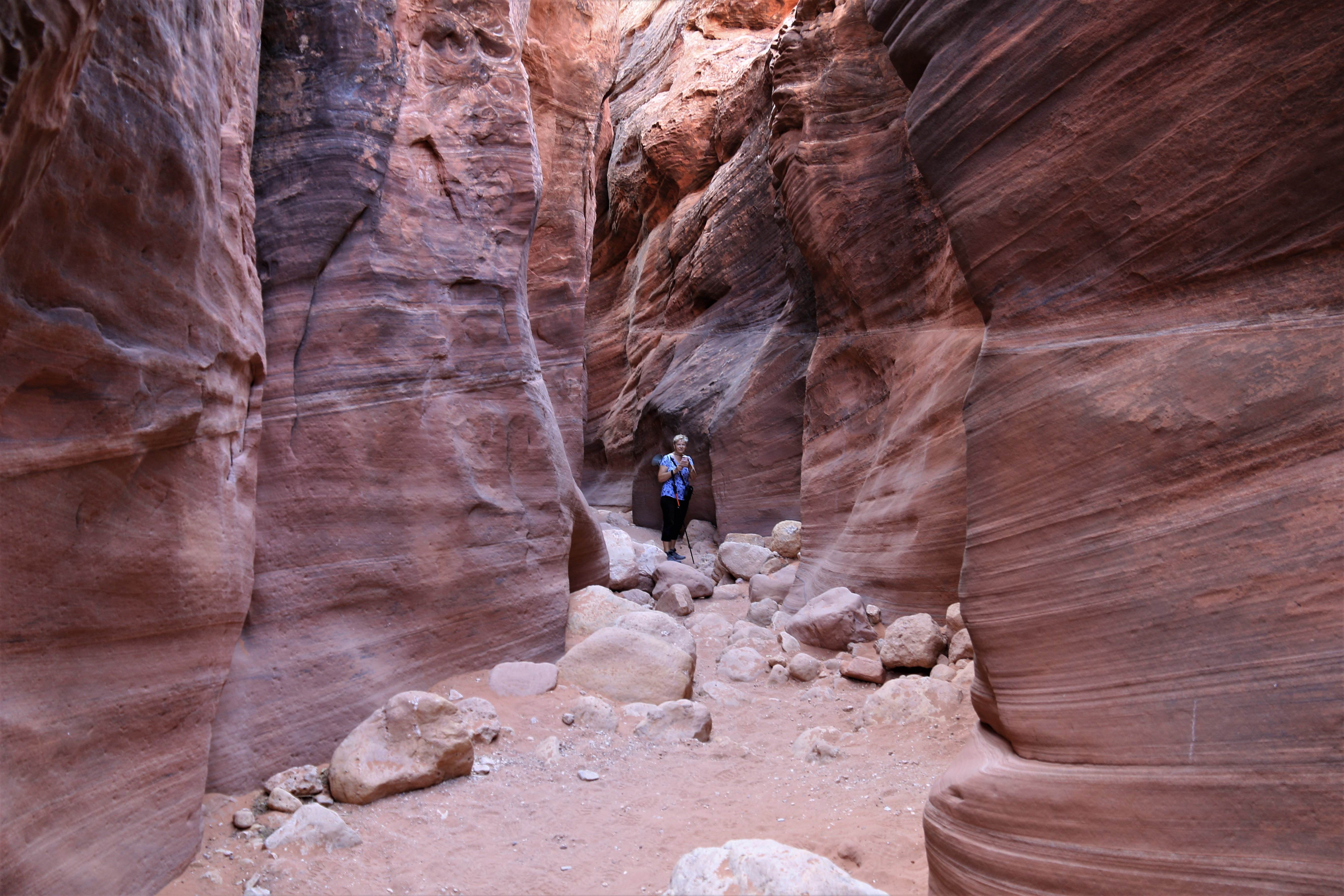 Vermillion Cliffs NM